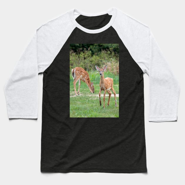 Curious Doe Baseball T-Shirt by FlyingLilly